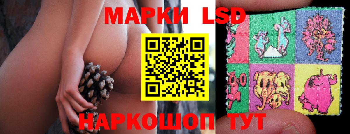 ЛСД экстази ecstasy  Вход с VPN  Нарткала 