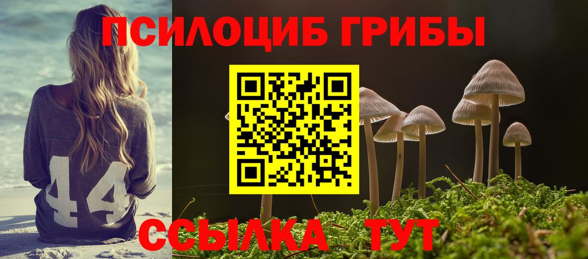 Галлюциногенные грибы прущие грибы  Вход с VPN  Нарткала 
